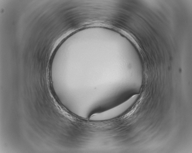 X0000070881149200607150140