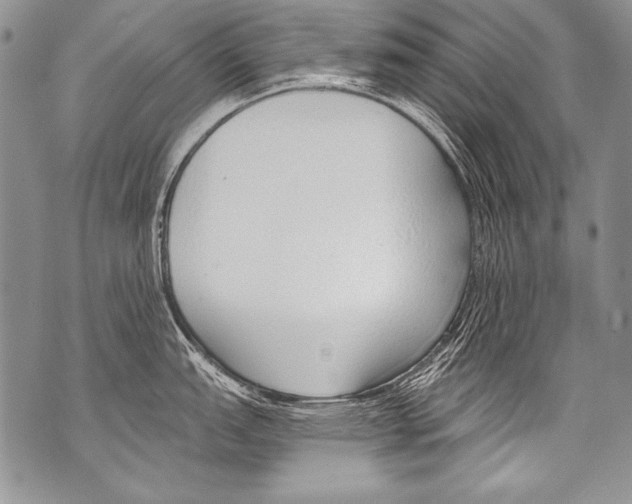 X0000070881151200607150140