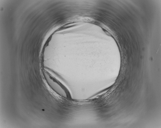 X0000070881152200607150140