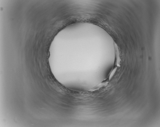 X0000070881153200607150139