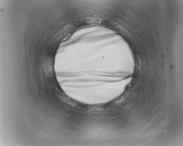 X0000070881154200607150139