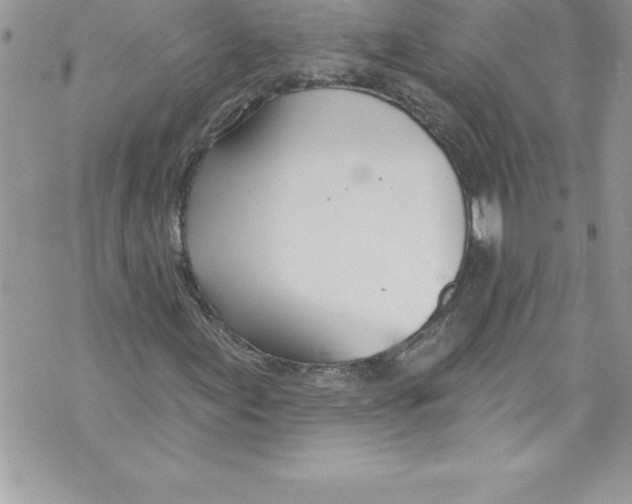 X0000070881155200607150139