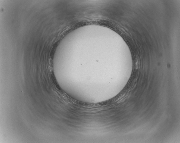 X0000070881156200607150139