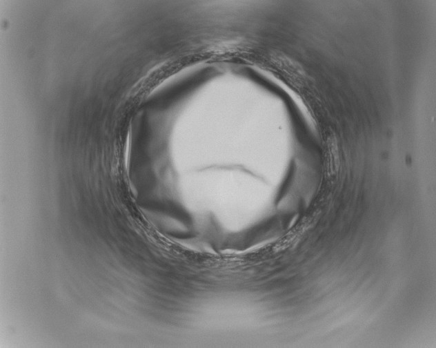 X0000070881158200607150139