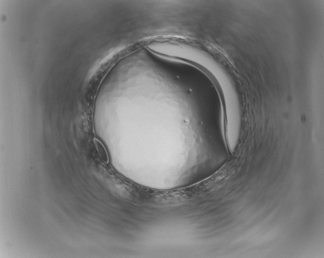 X0000070881159200607150139