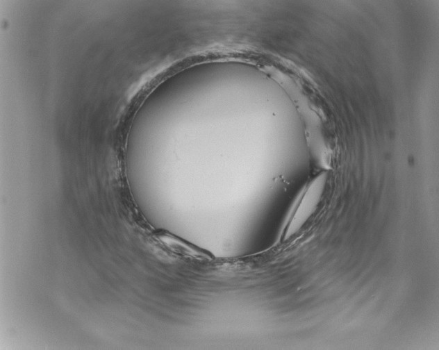 X0000070881160200607150139