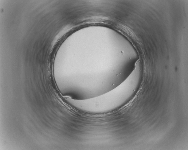 X0000070881164200607150139