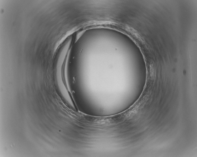 X0000070881165200607150139