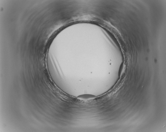 X0000070881166200607150139