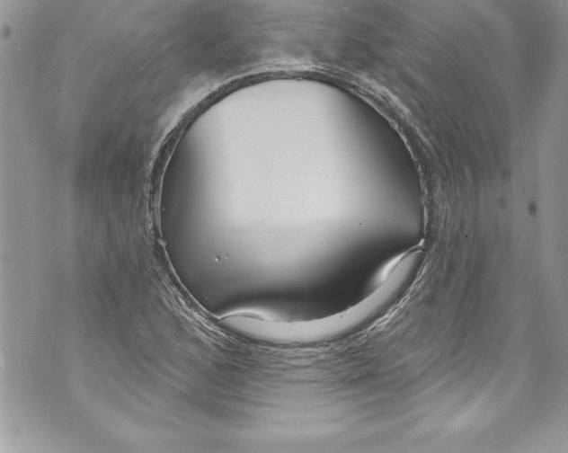 X0000070881168200607150139