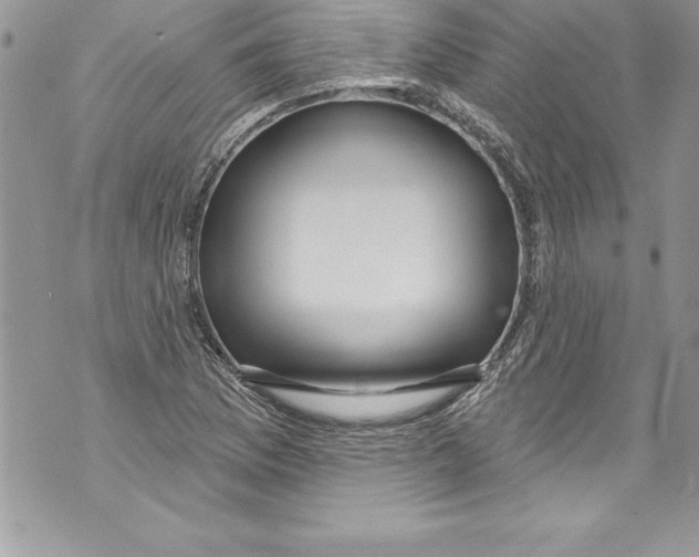 X0000070881169200607150139