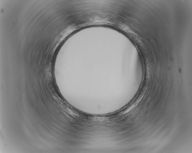 X0000070881170200607150139