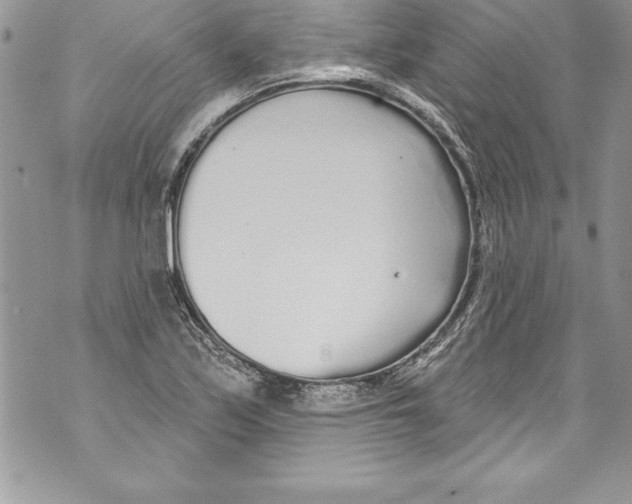 X0000070881171200607150139