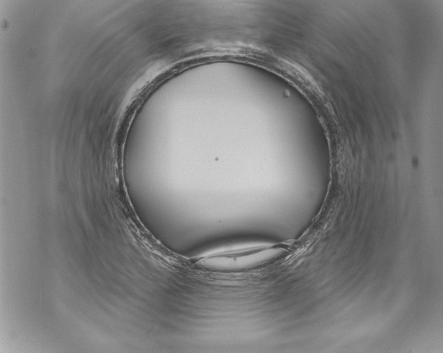 X0000070881172200607150139