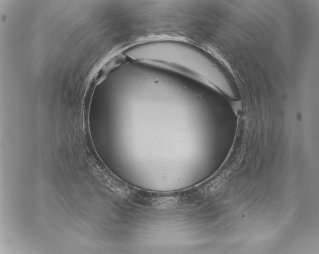 X0000070881173200607150139