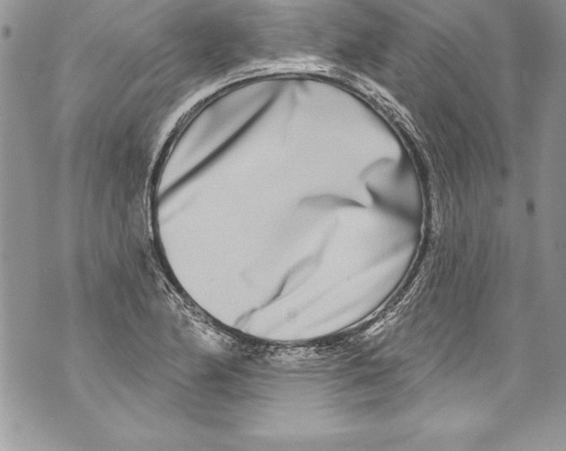 X0000070881174200607150139