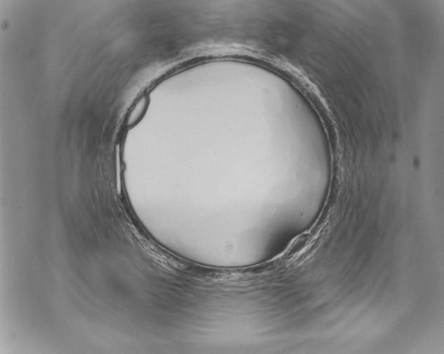 X0000070881175200607150139