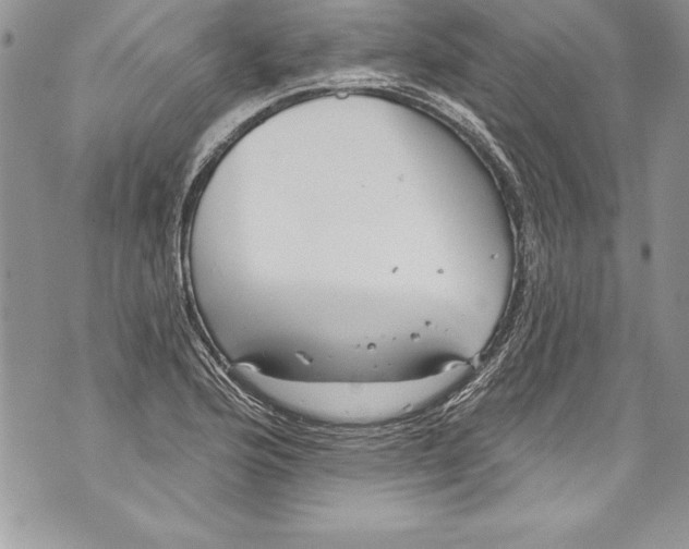 X0000070881176200607150139