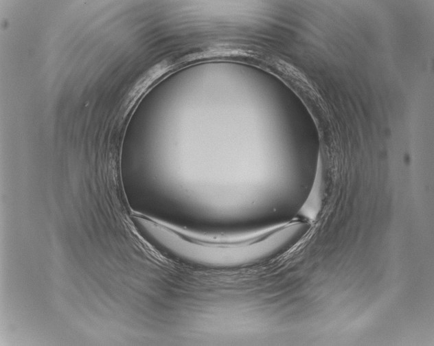 X0000070881177200607150139