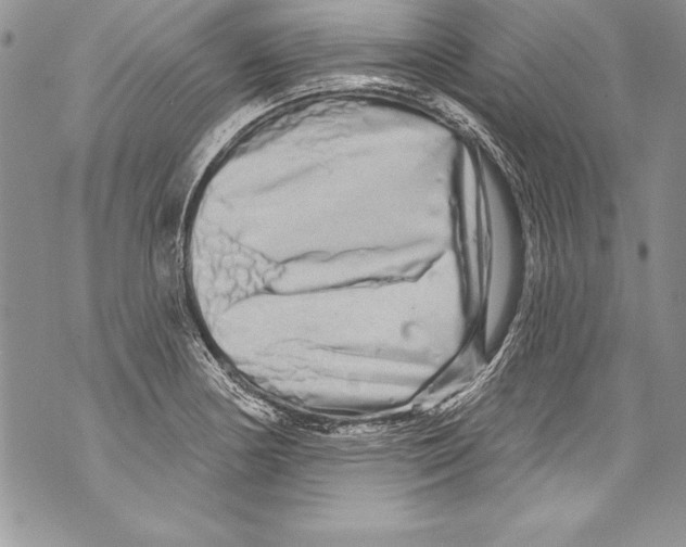 X0000070881178200607150139