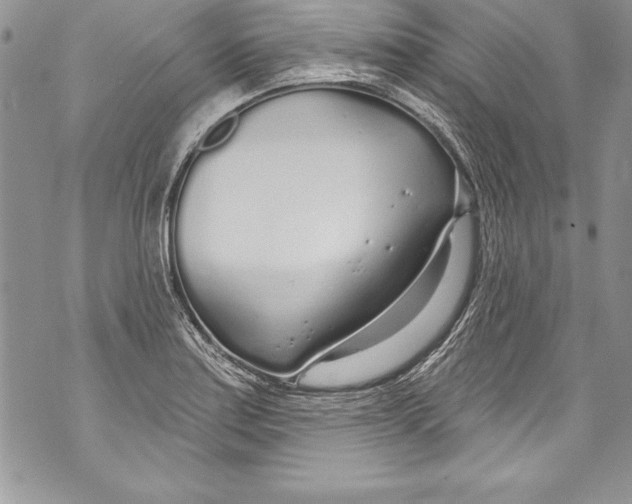 X0000070881179200607150139