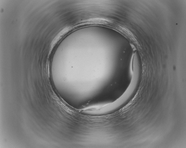 X0000070881180200607150139