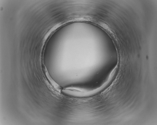 X0000070881181200607150139