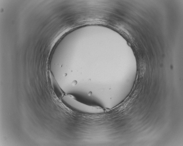 X0000070881182200607150139