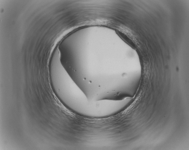 X0000070881184200607150139