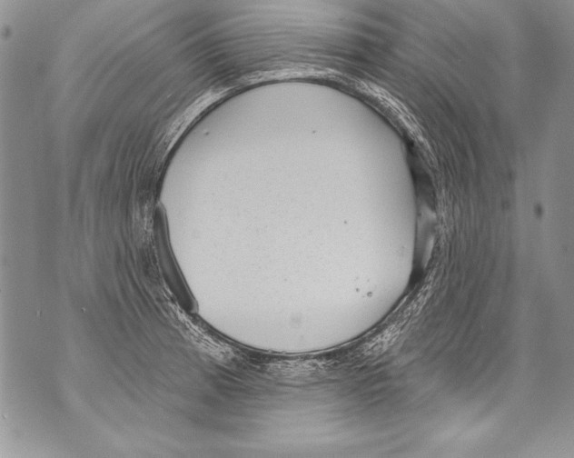 X0000070881185200607150139