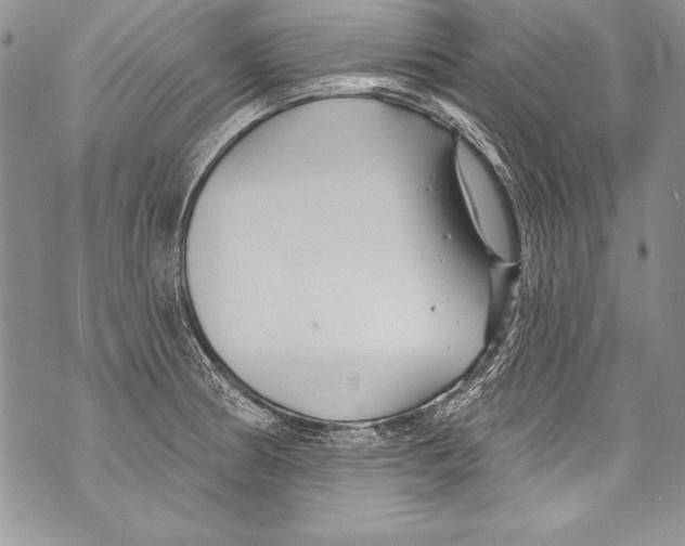 X0000070881186200607150139