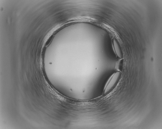 X0000070881188200607150138