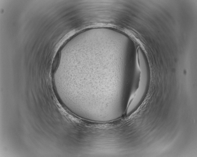 X0000070881189200607150138