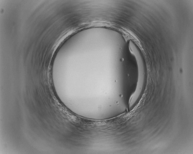 X0000070881190200607150138