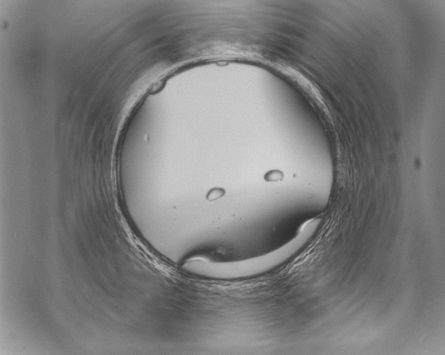 X0000070881191200607150138