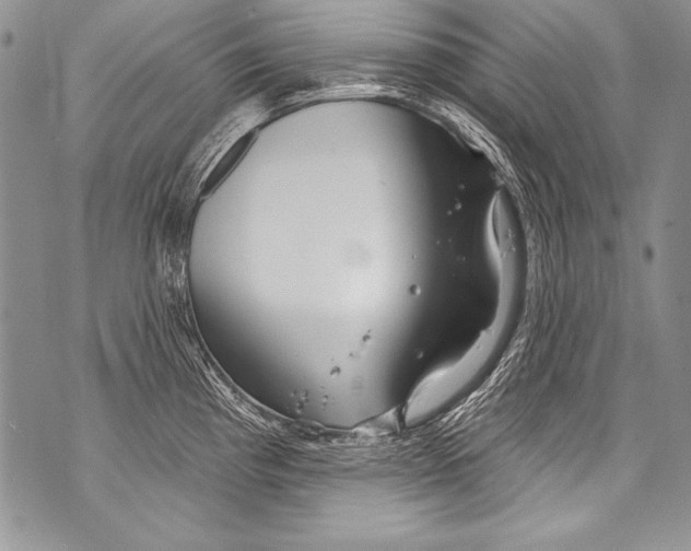 X0000070881193200607150138