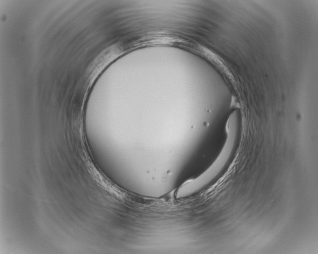 X0000070881194200607150138