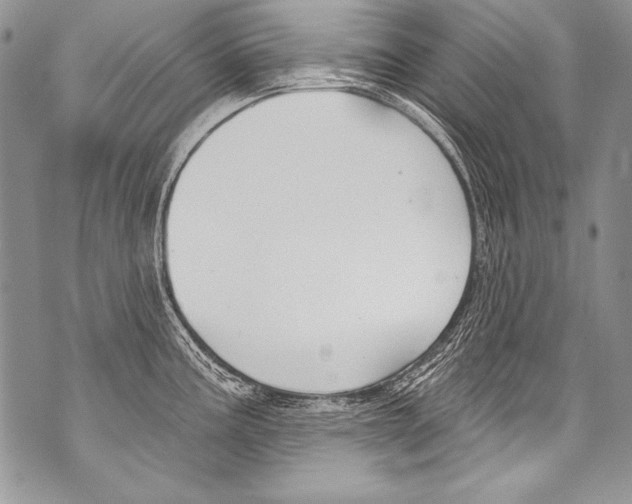 X0000070881195200607150138