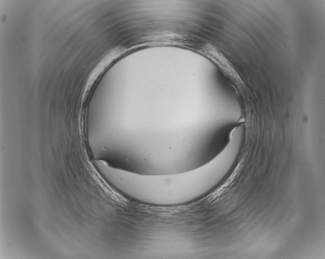 X0000070881196200607150138