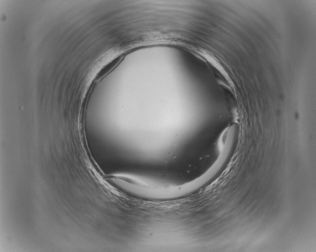 X0000070881197200607150138