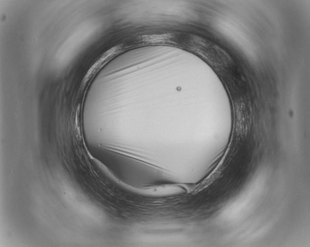 X0000070881198200607150138