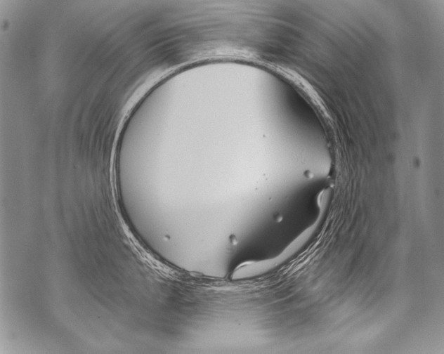 X0000070881199200607150138