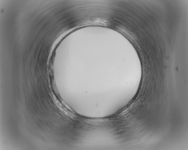 X0000070881200200607150138