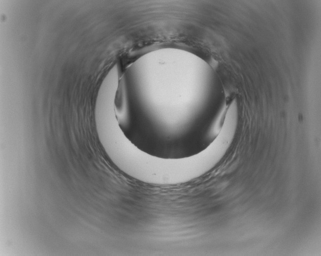 X0000070881202200607150138