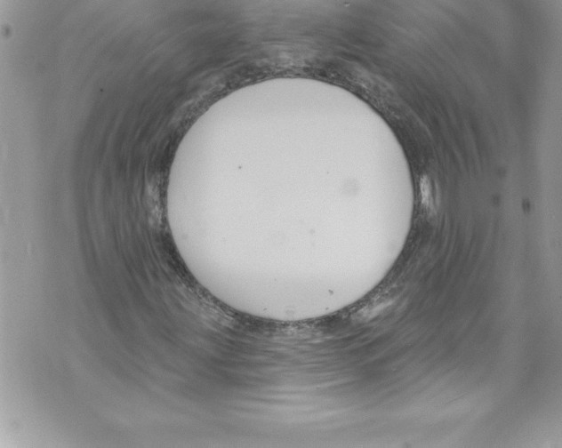 X0000070881203200607150138