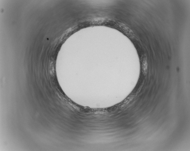 X0000070881204200607150138