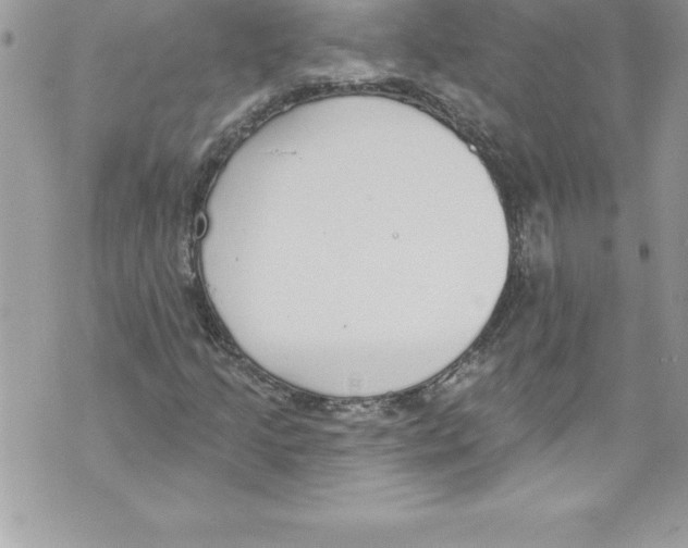 X0000070881205200607150138