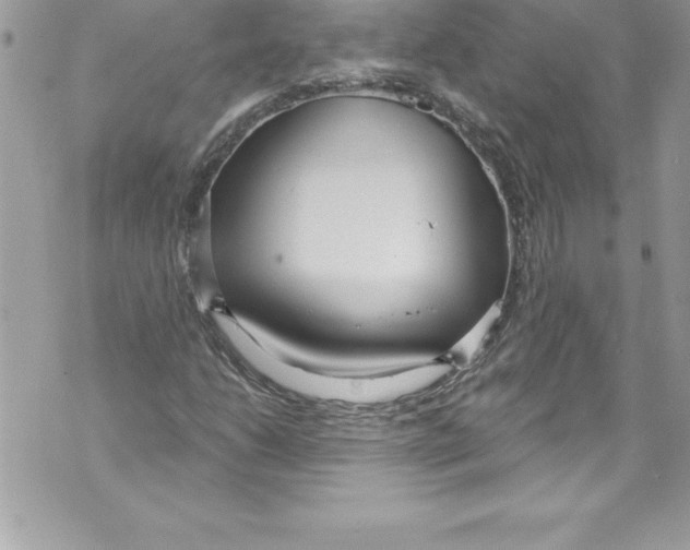 X0000070881206200607150138