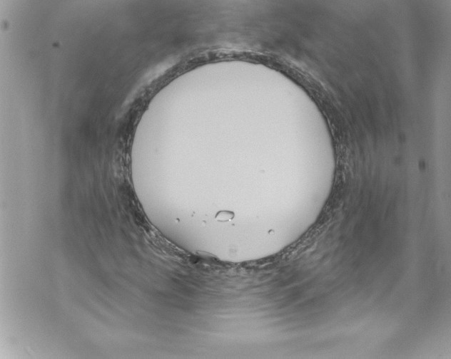 X0000070881207200607150138