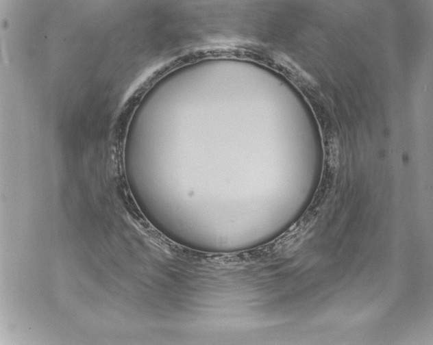 X0000070881208200607150138